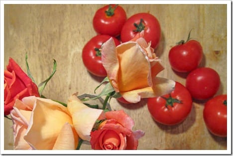 Roses-and-tomatoes.jpg